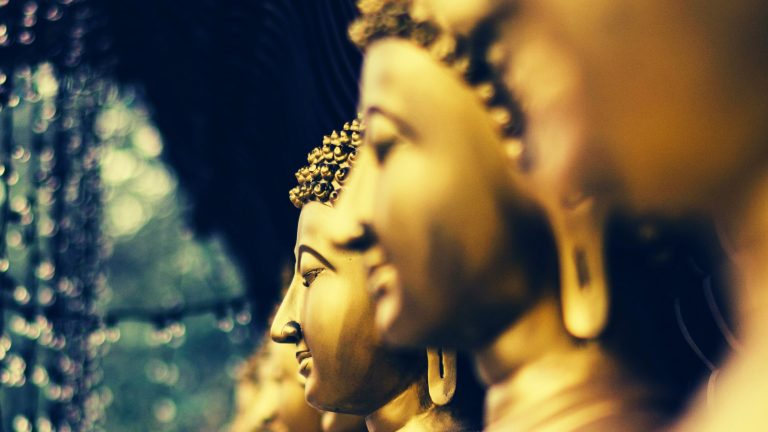 pexels-kalpa-chathuranga-red